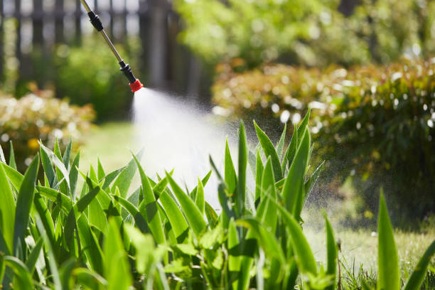 24/7 Emergency Ant Control experts in Sanger, TX